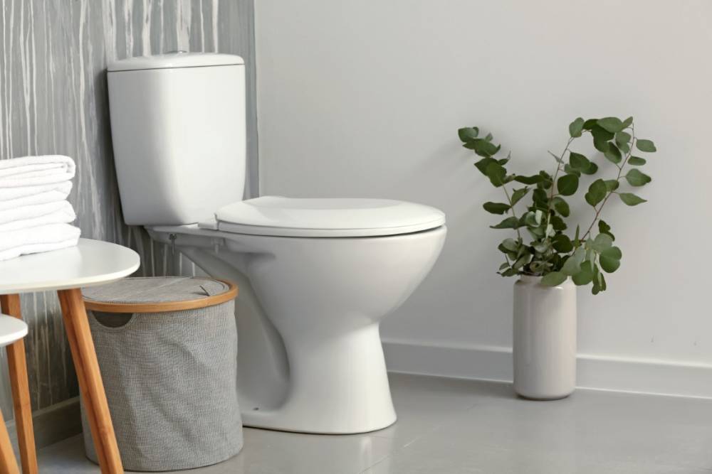 Sanitaire à Champier